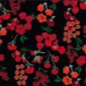 Meet your Posher, Monique